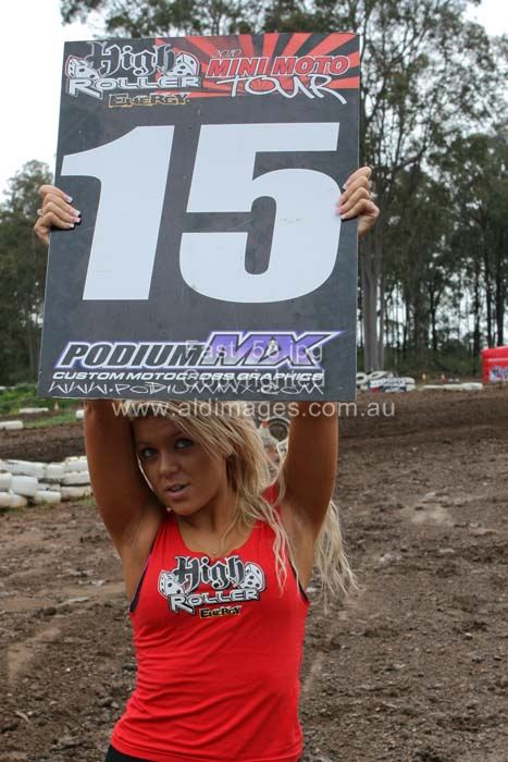 445x677 pixels (68K)